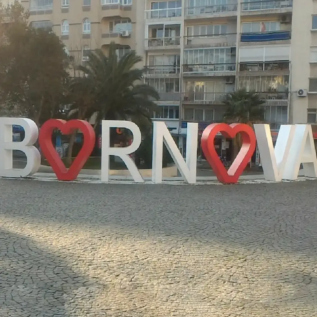 İzmir Bornova Web Tasarım